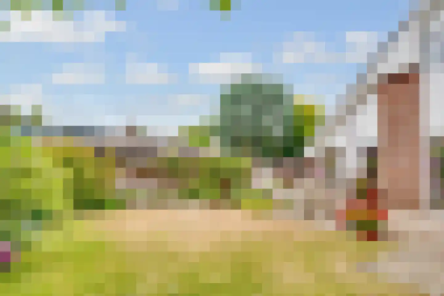 Vogelwikke 1 Maartensdijk thumbnail 45