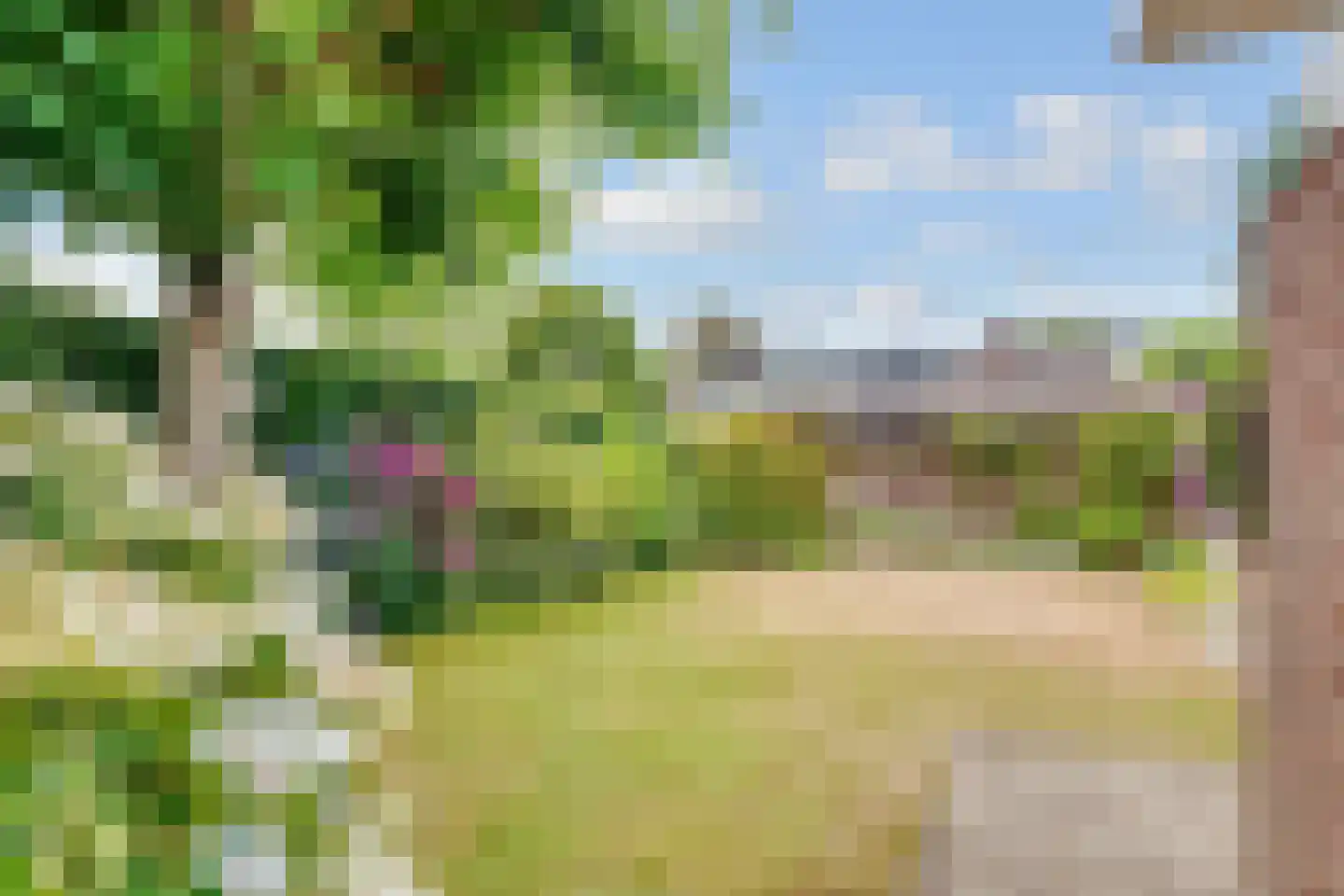 Vogelwikke 1 Maartensdijk thumbnail 46