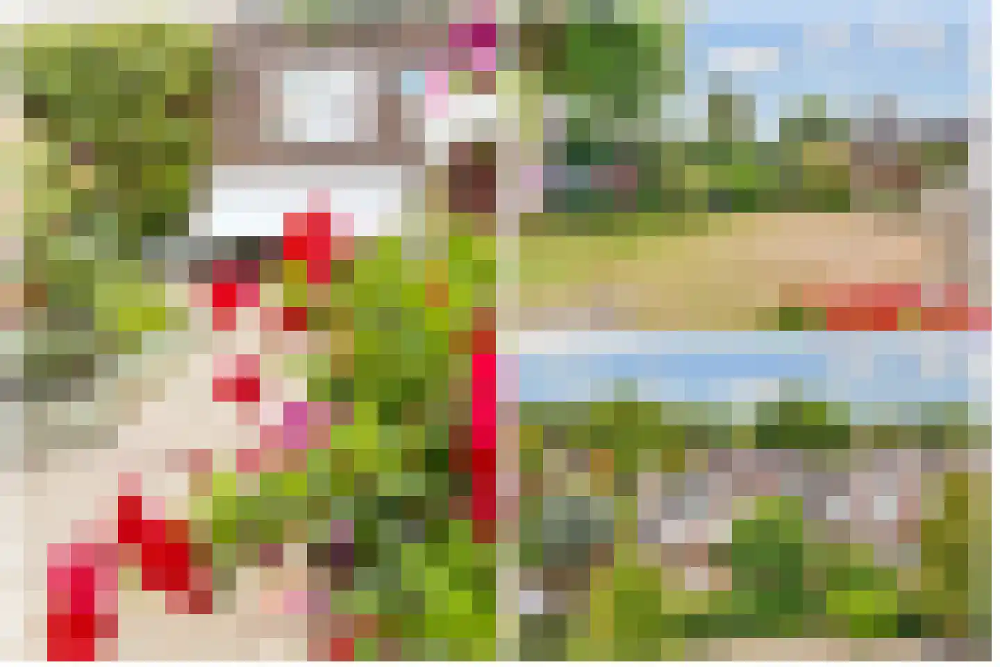 Vogelwikke 1 Maartensdijk thumbnail 47