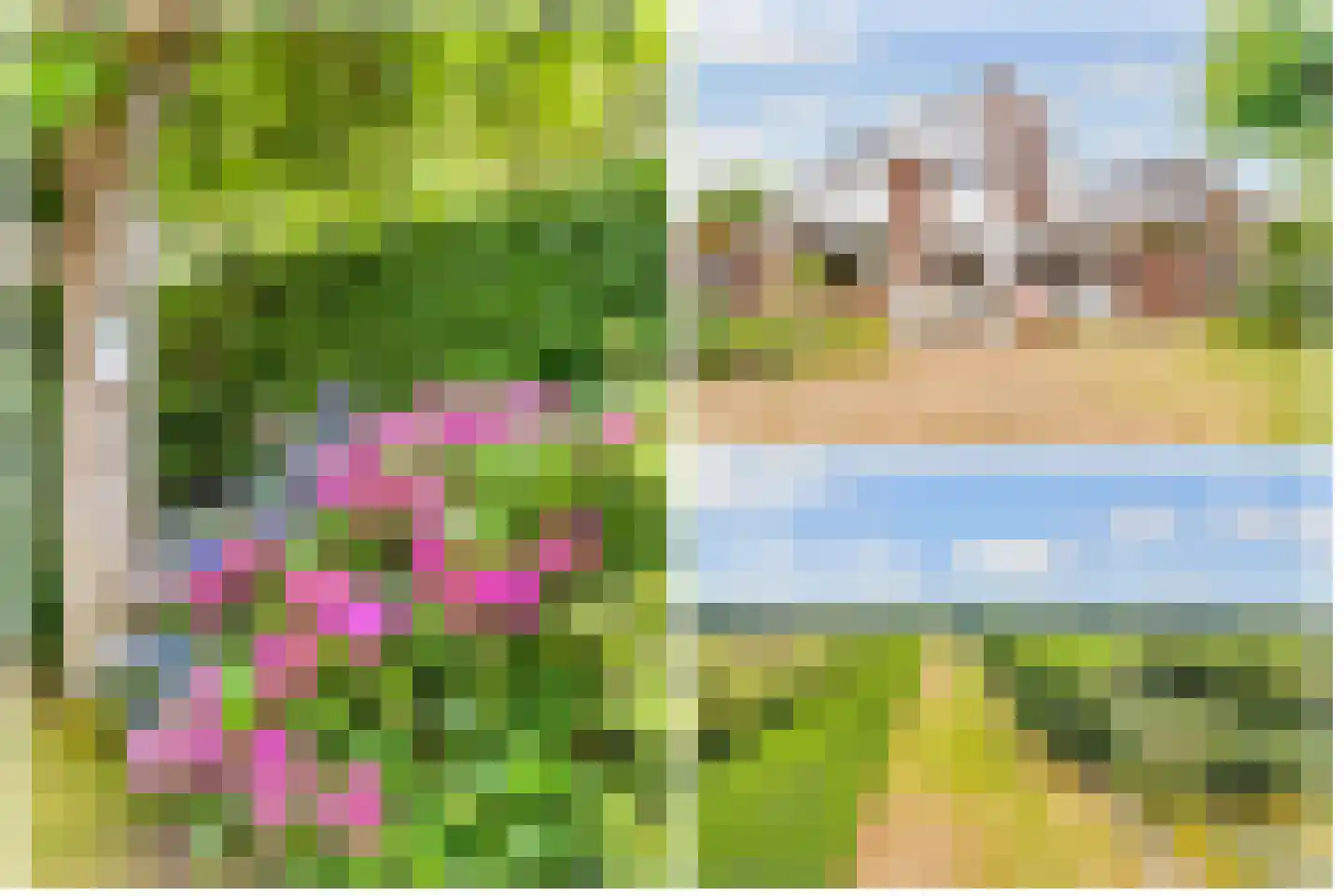 Vogelwikke 1 Maartensdijk thumbnail 49