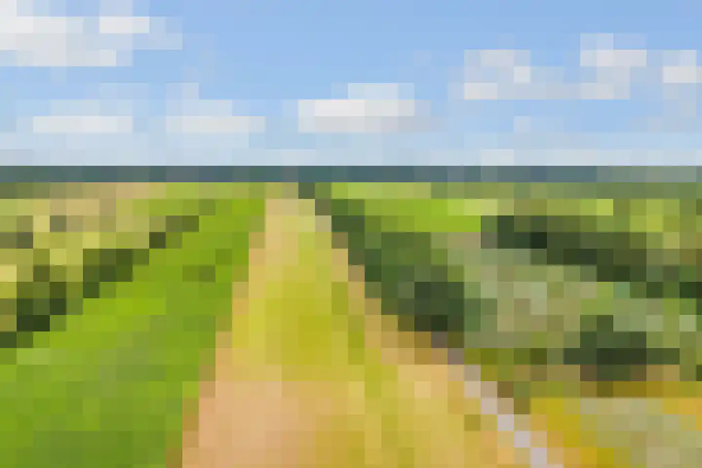 Vogelwikke 1 Maartensdijk thumbnail 50