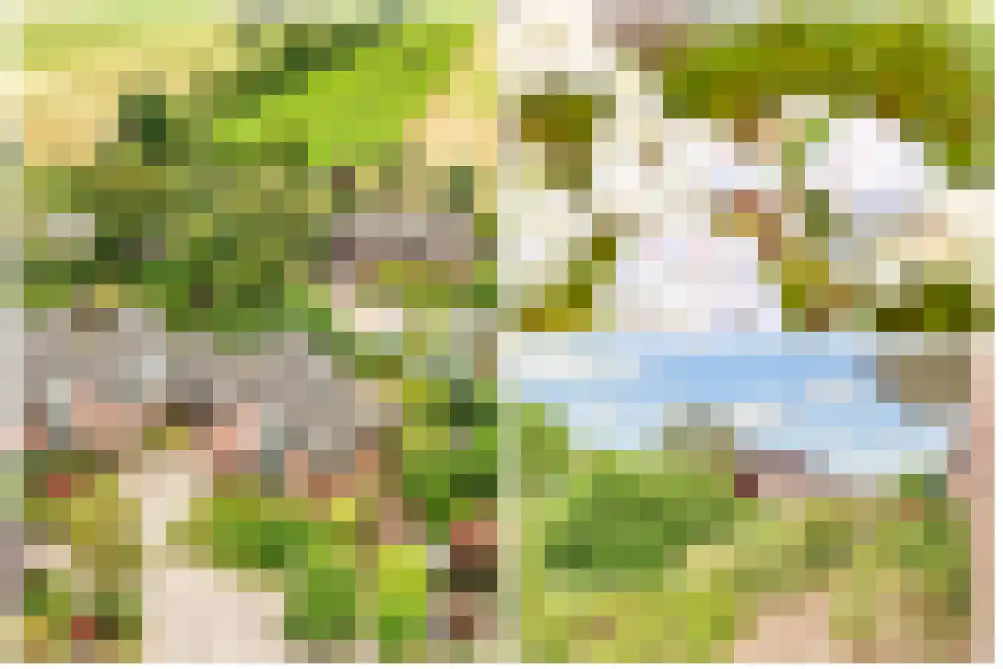 Vogelwikke 1 Maartensdijk thumbnail 51