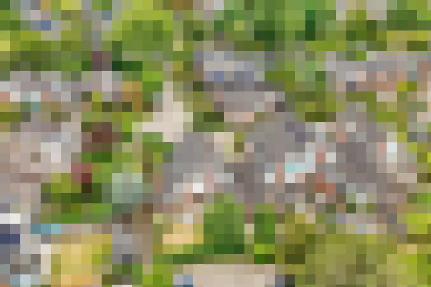 Vogelwikke 1 Maartensdijk thumbnail 52