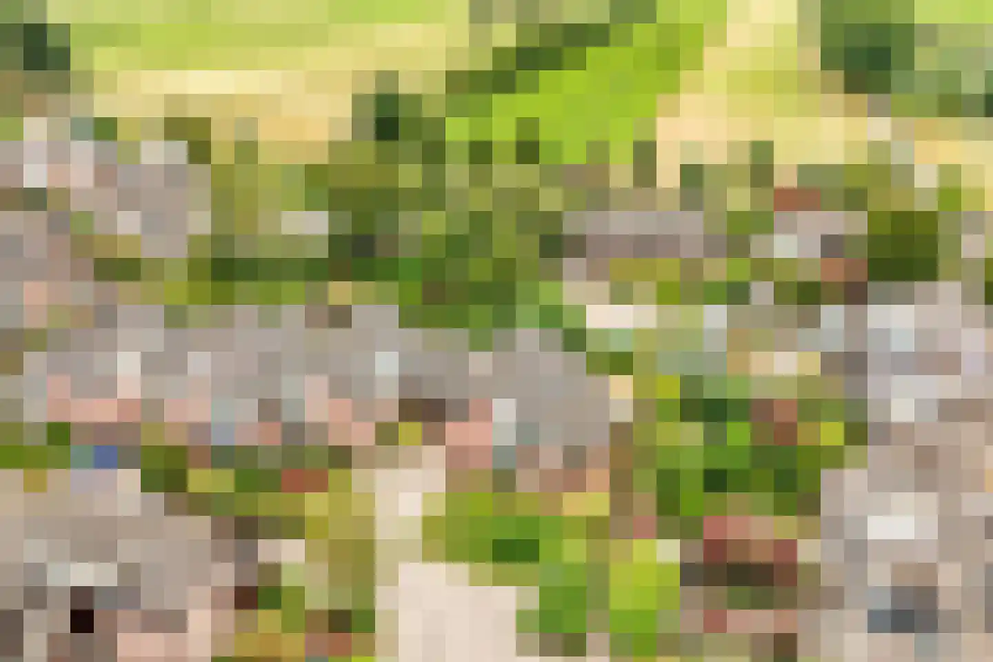 Vogelwikke 1 Maartensdijk thumbnail 53