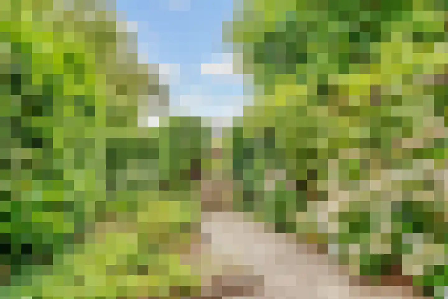 Vogelwikke 1 Maartensdijk thumbnail 54