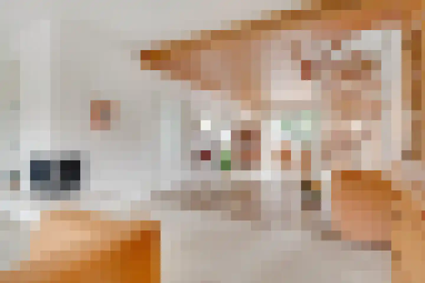 Vogelwikke 1 Maartensdijk thumbnail 6