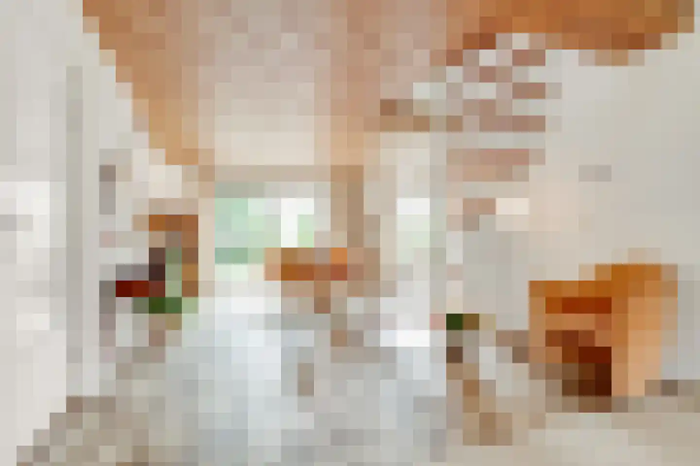 Vogelwikke 1 Maartensdijk thumbnail 9