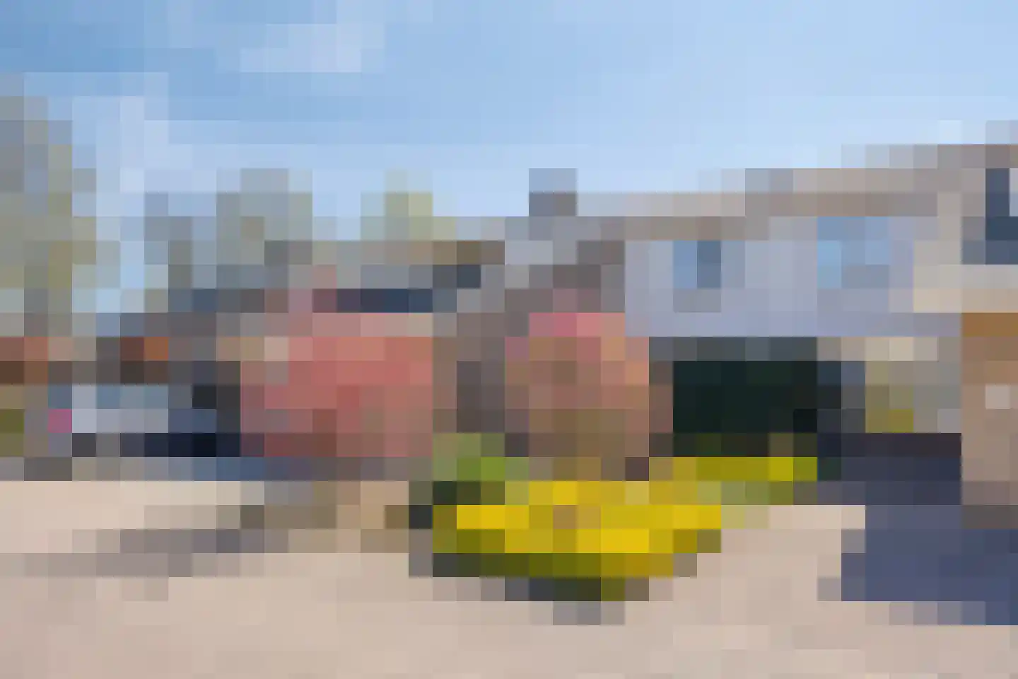 Vogelwikke 11 in Maarheeze