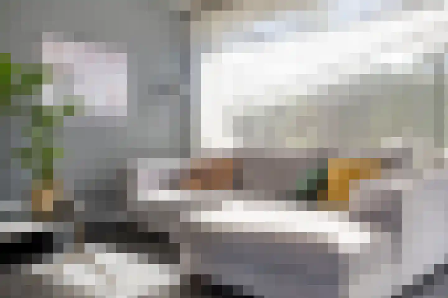 Vogelwikke 11 Maarheeze thumbnail 11
