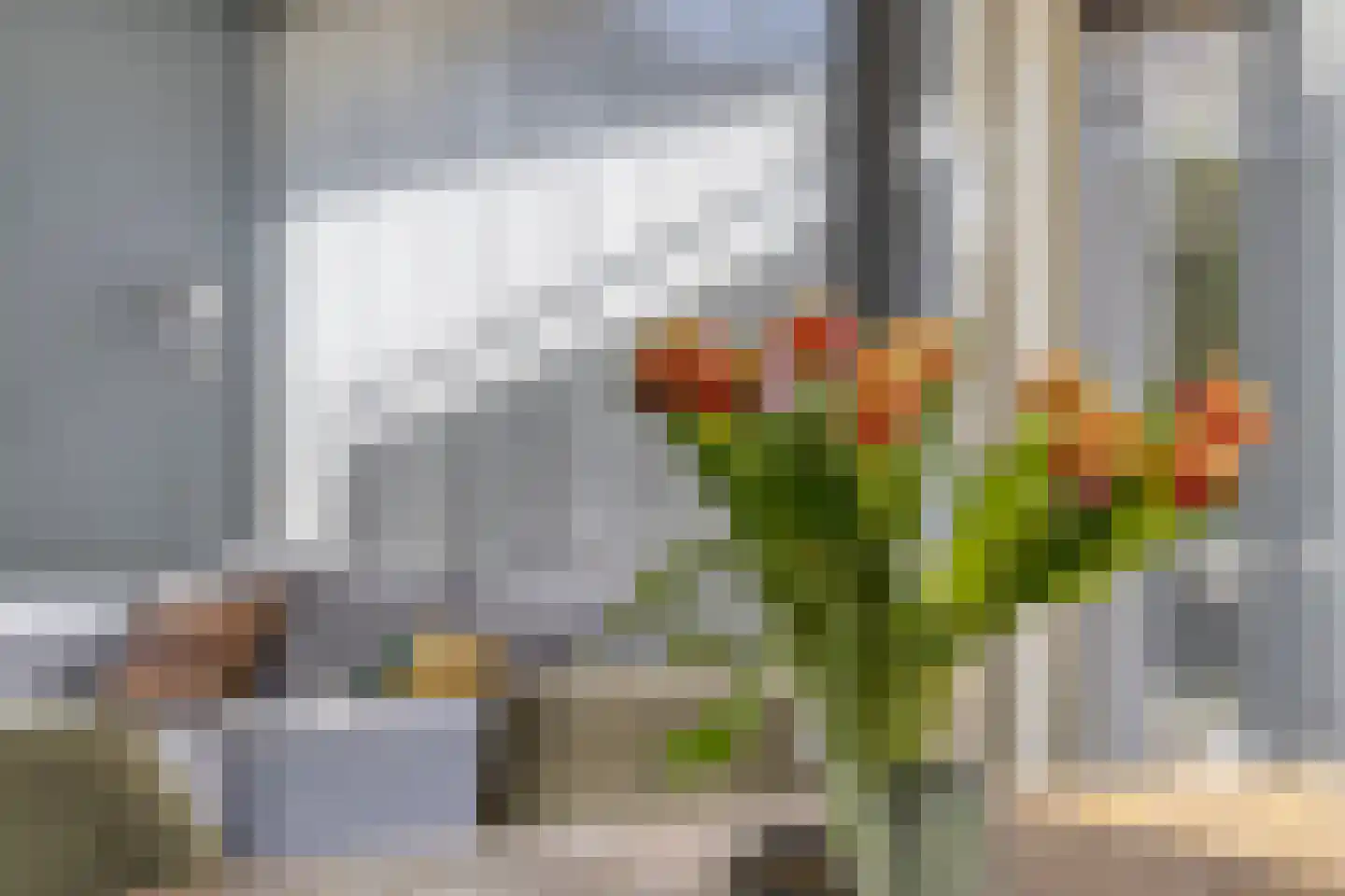 Vogelwikke 11 Maarheeze thumbnail 12