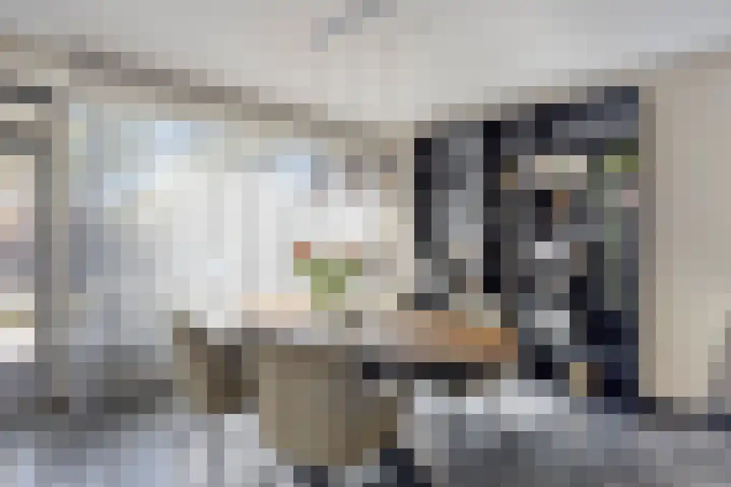 Vogelwikke 11 Maarheeze thumbnail 16