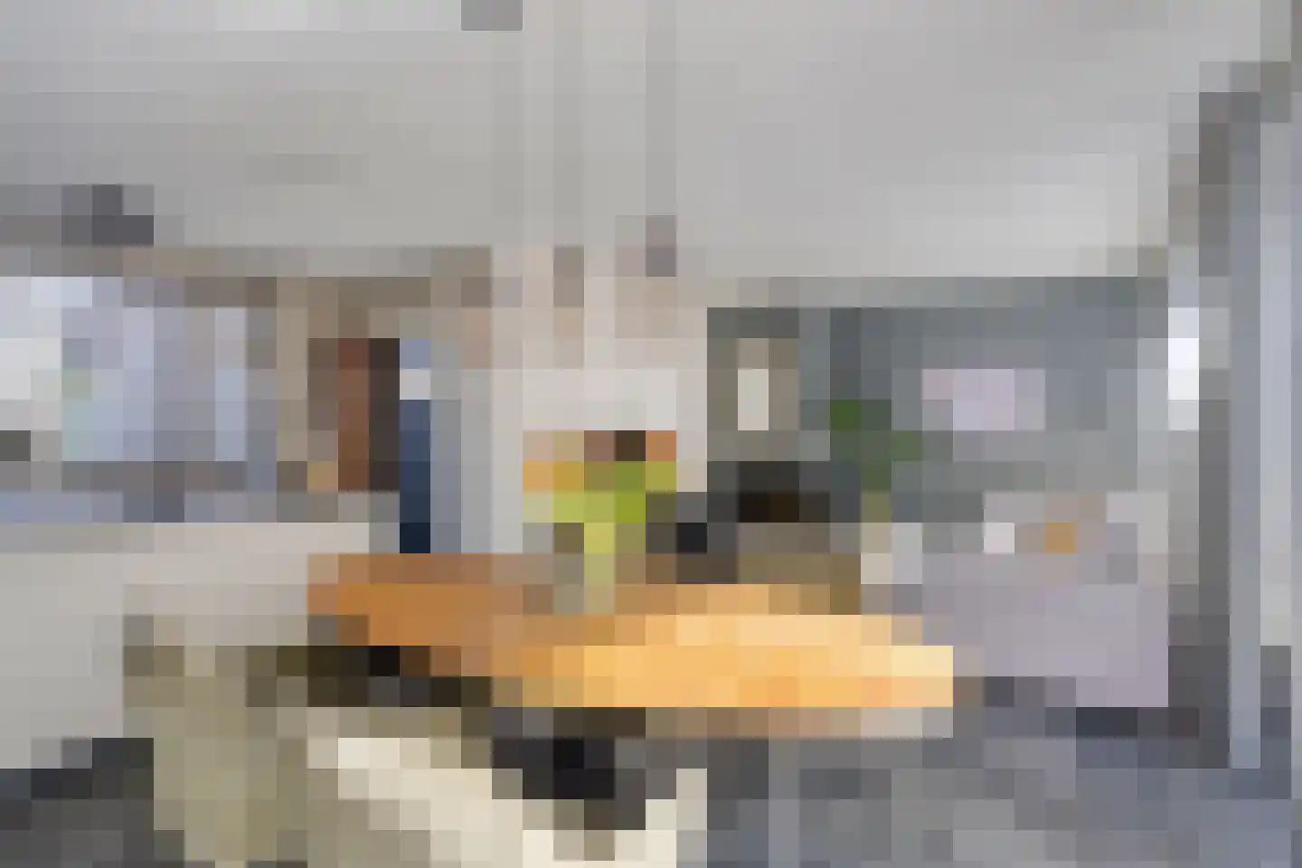Vogelwikke 11 Maarheeze thumbnail 17