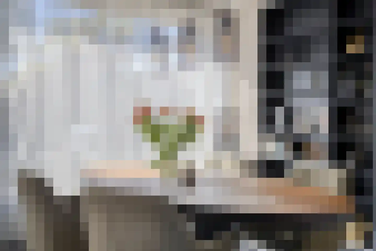 Vogelwikke 11 Maarheeze thumbnail 18