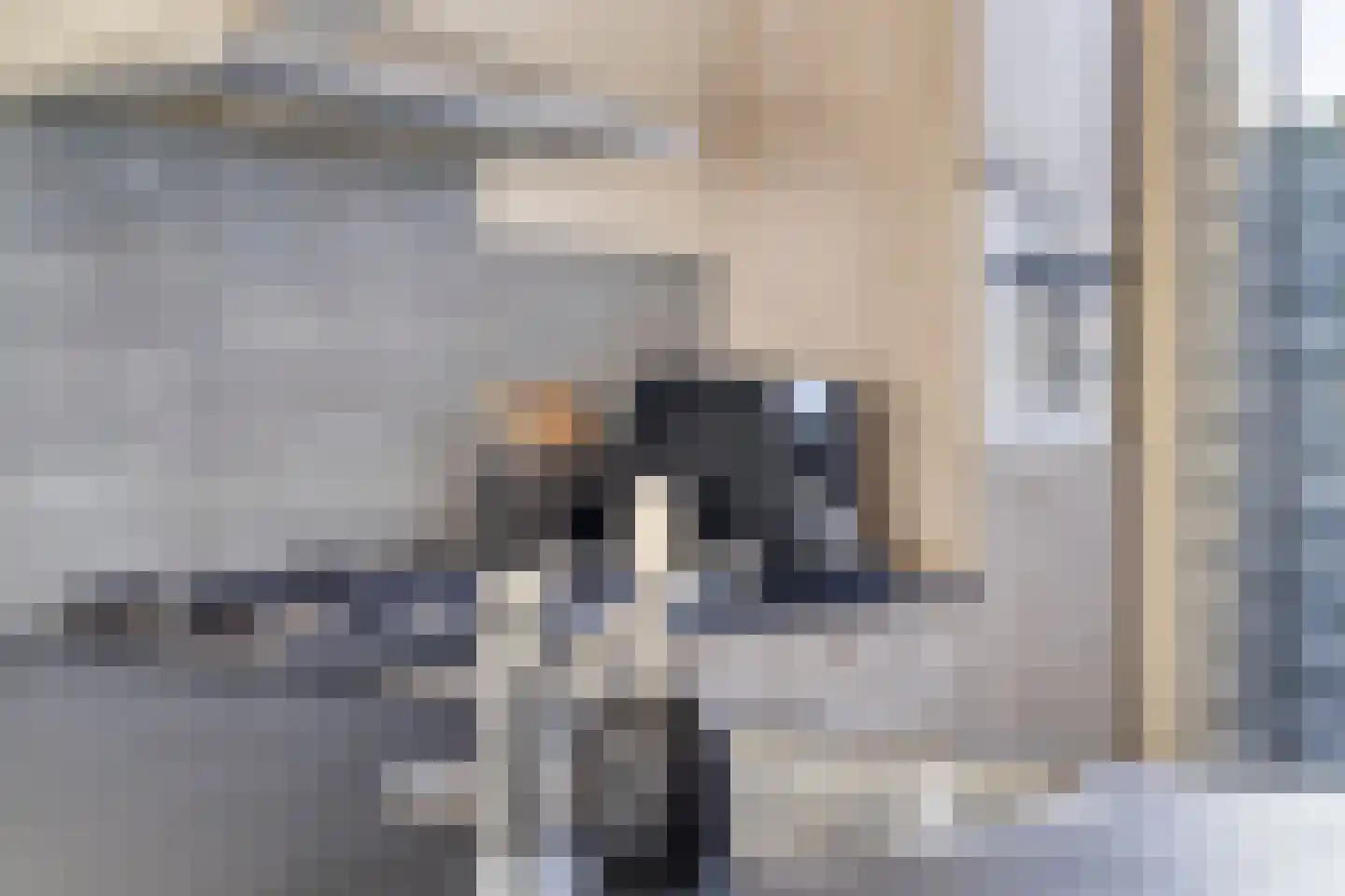 Vogelwikke 11 Maarheeze thumbnail 22