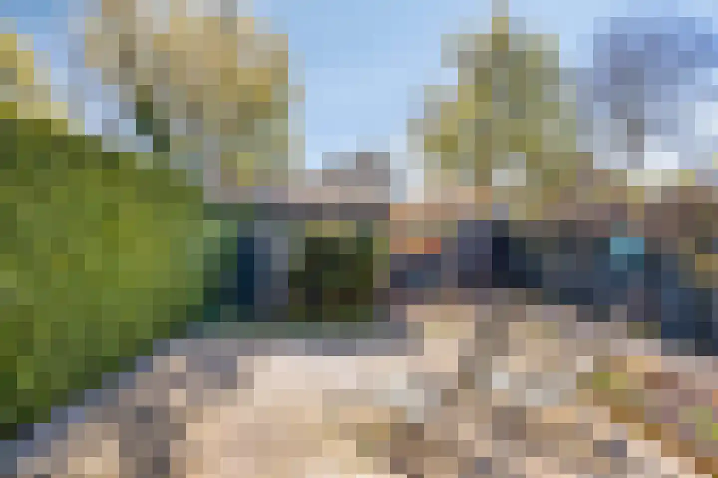 Vogelwikke 11 Maarheeze thumbnail 34