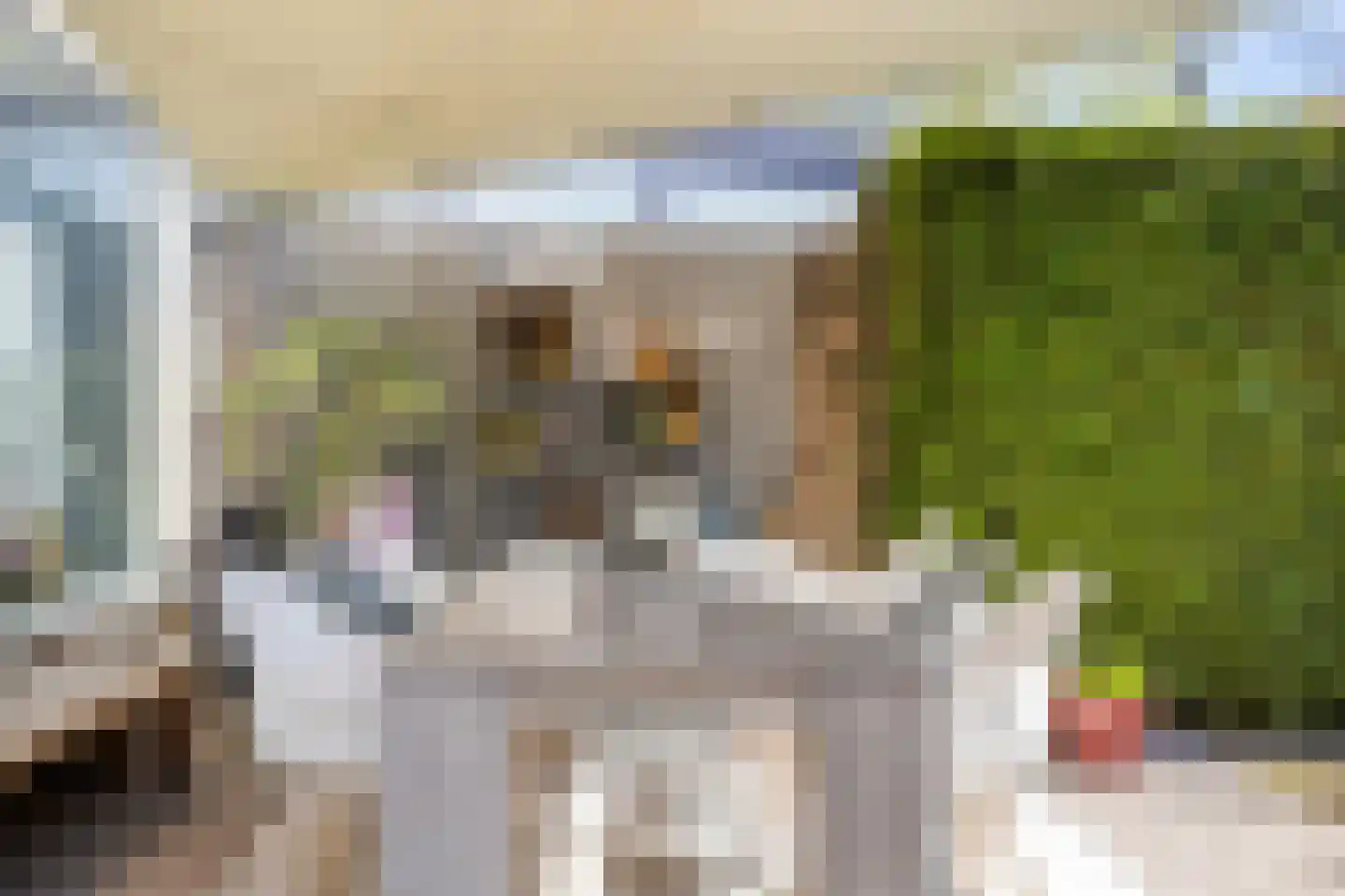 Vogelwikke 11 Maarheeze thumbnail 36