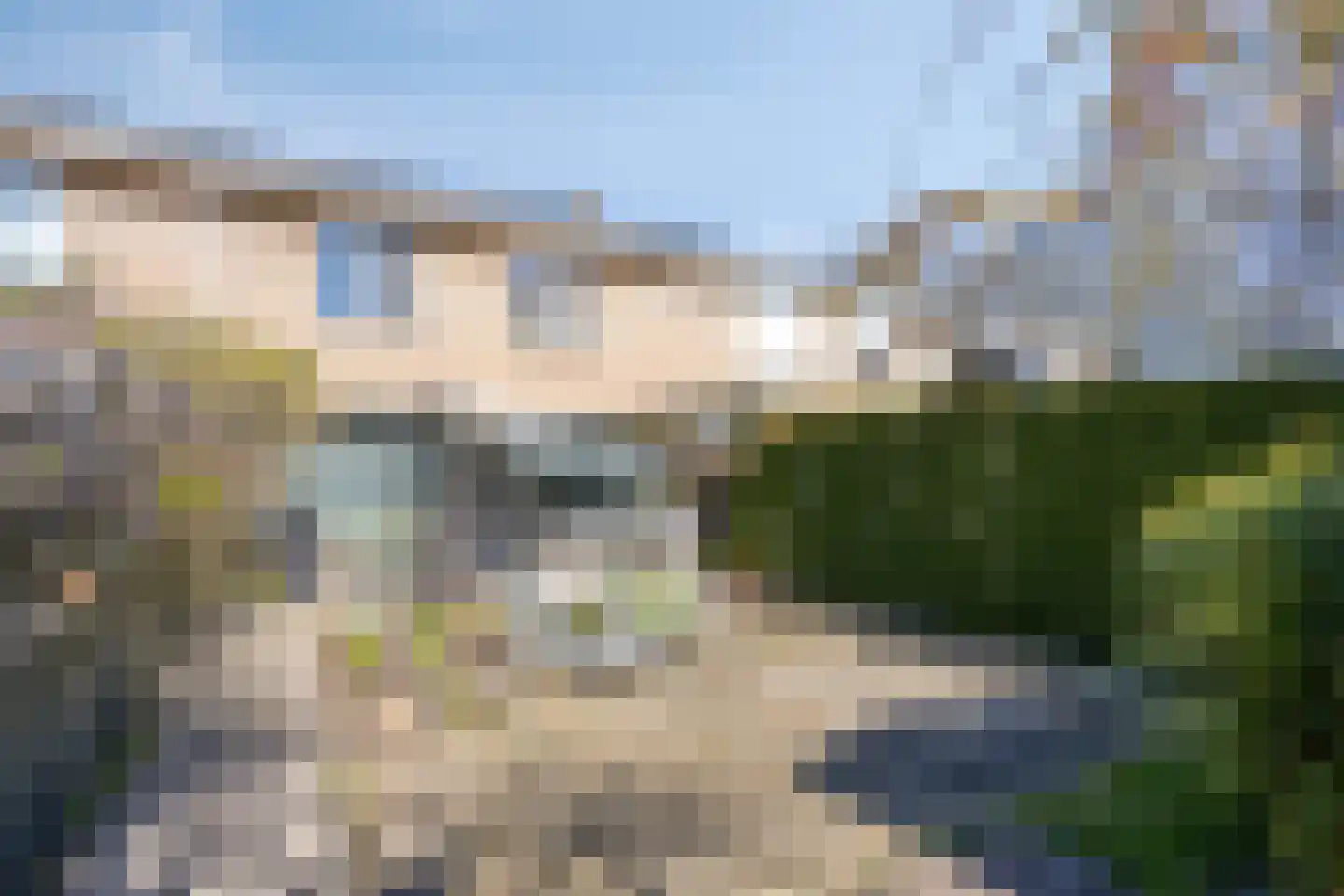 Vogelwikke 11 Maarheeze thumbnail 38