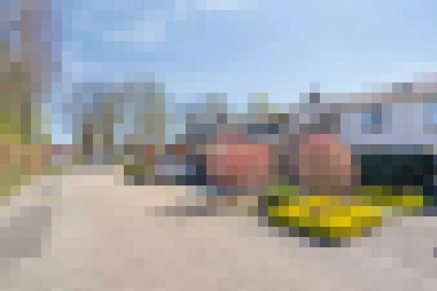 Vogelwikke 11 Maarheeze thumbnail 39