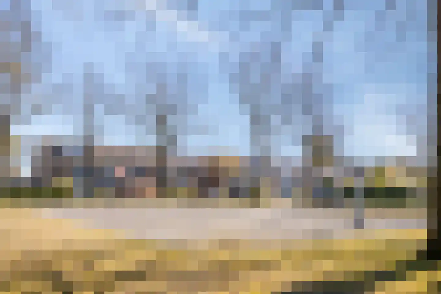 Vogelwikke 11 Maarheeze thumbnail 41