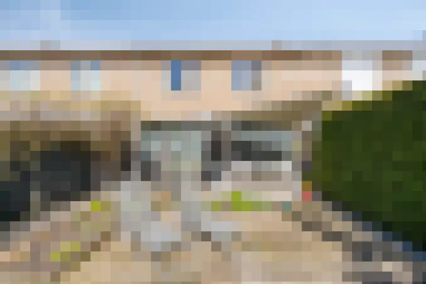 Vogelwikke 11 Maarheeze thumbnail 6