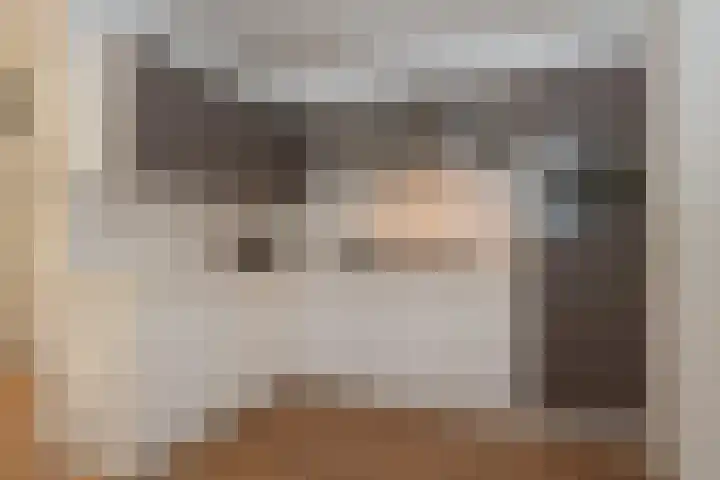 Vogelwikke 11 Sneek thumbnail 10