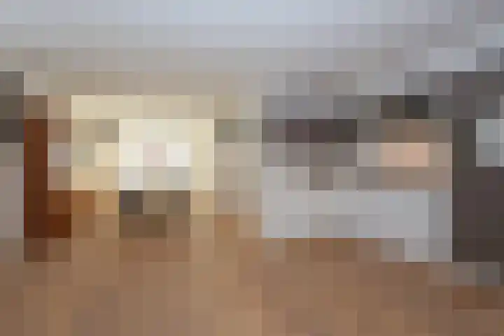 Vogelwikke 11 Sneek thumbnail 11