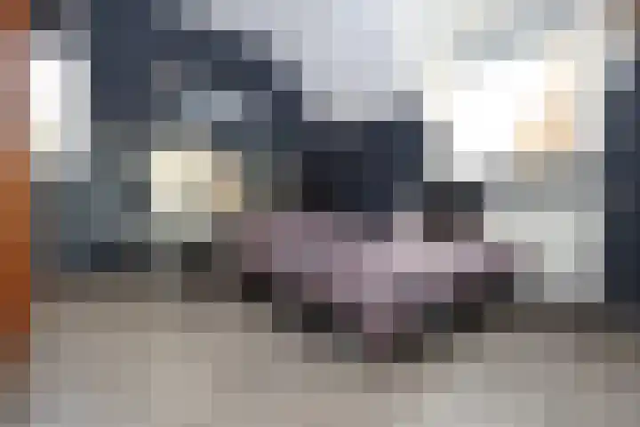 Vogelwikke 11 Sneek thumbnail 16