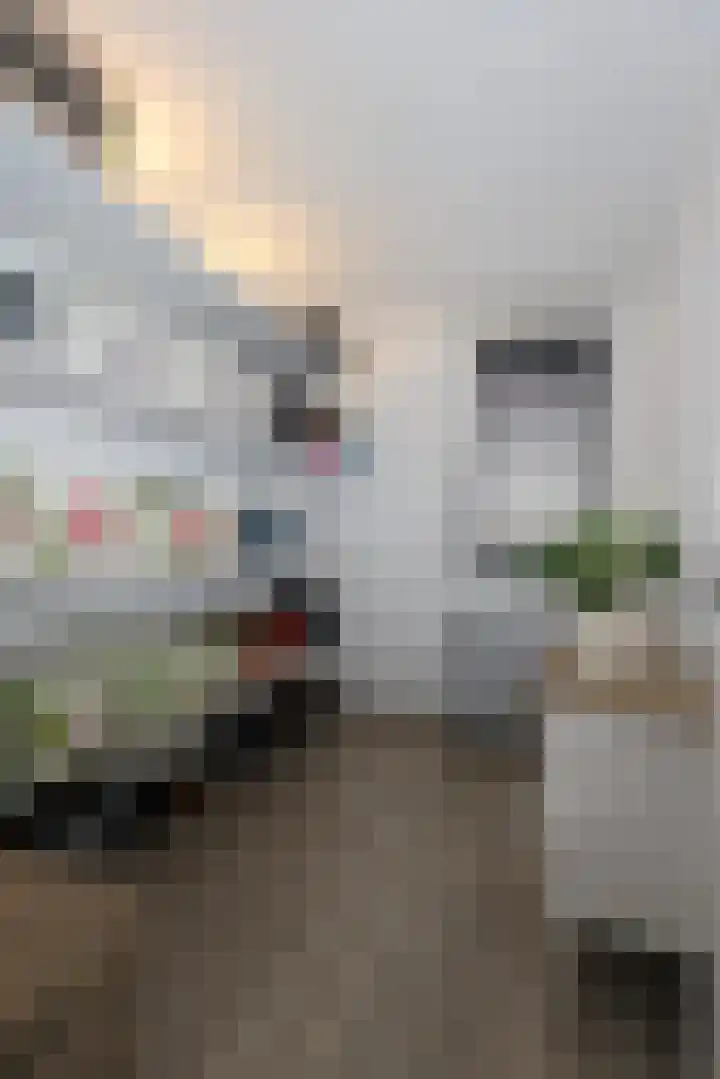 Vogelwikke 11 Sneek thumbnail 17