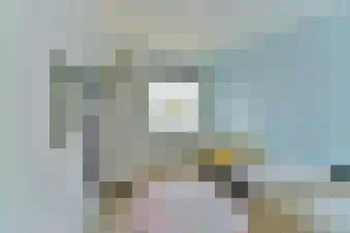 Vogelwikke 11 Sneek thumbnail 18