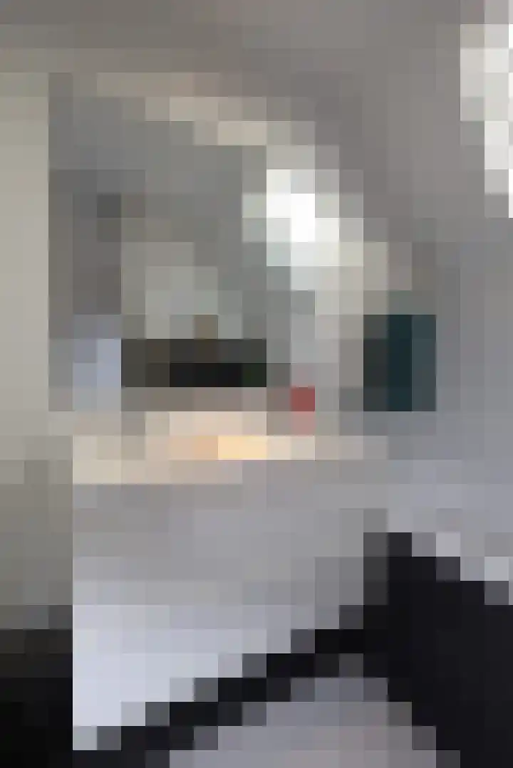Vogelwikke 11 Sneek thumbnail 18