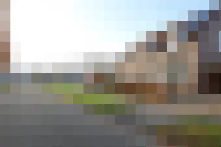 Vogelwikke 11 Sneek thumbnail 25