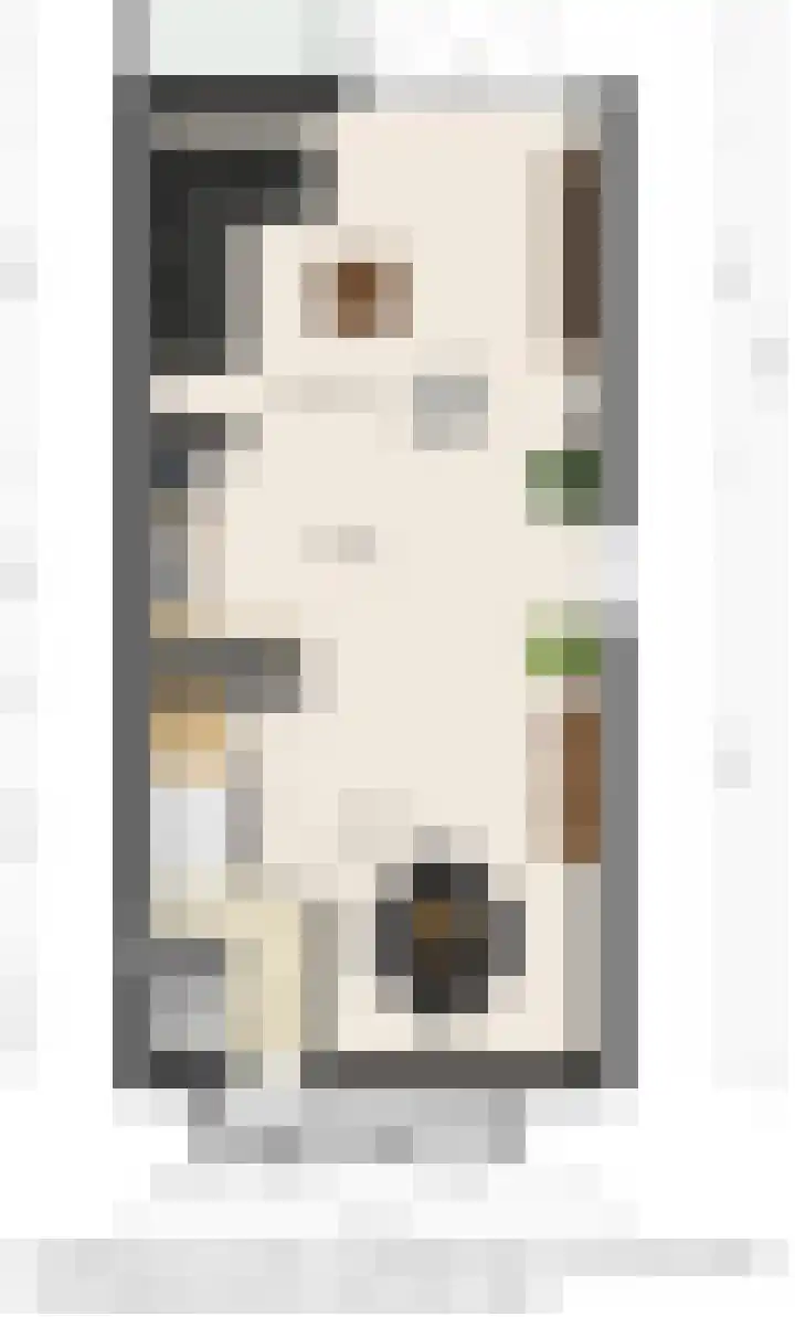 Vogelwikke 11 Sneek thumbnail 27