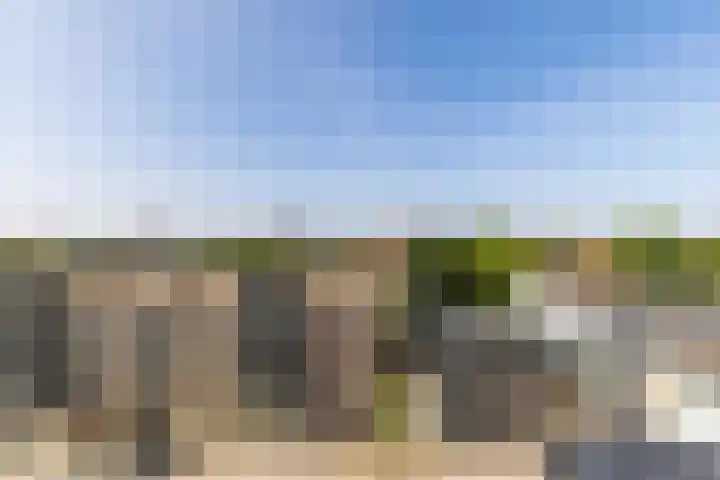 Vogelwikke 11 Sneek thumbnail 29