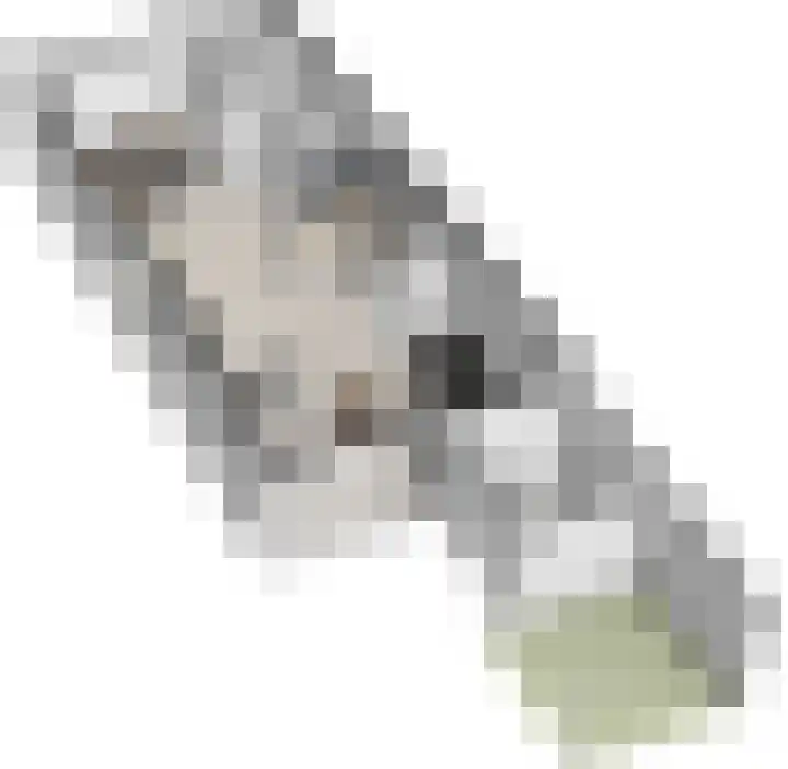 Vogelwikke 11 Sneek thumbnail 30
