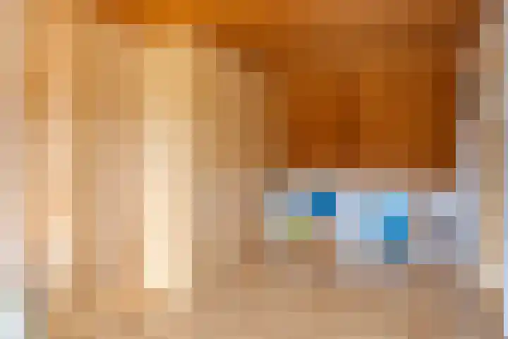 Vogelwikke 11 Sneek thumbnail 4
