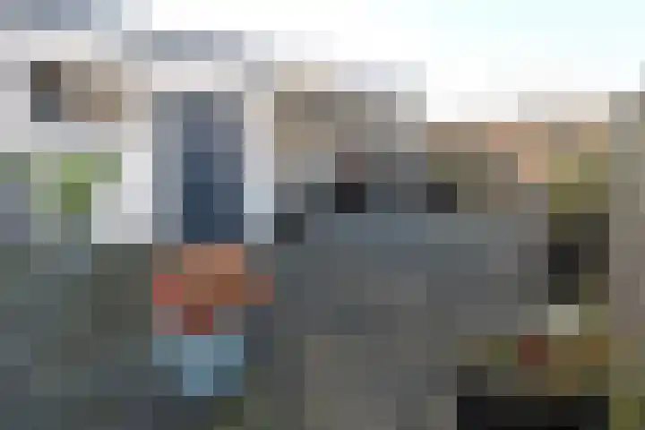 Vogelwikke 11 Sneek thumbnail 4