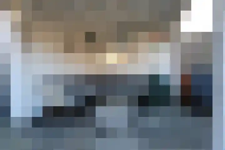 Vogelwikke 11 Sneek thumbnail 6