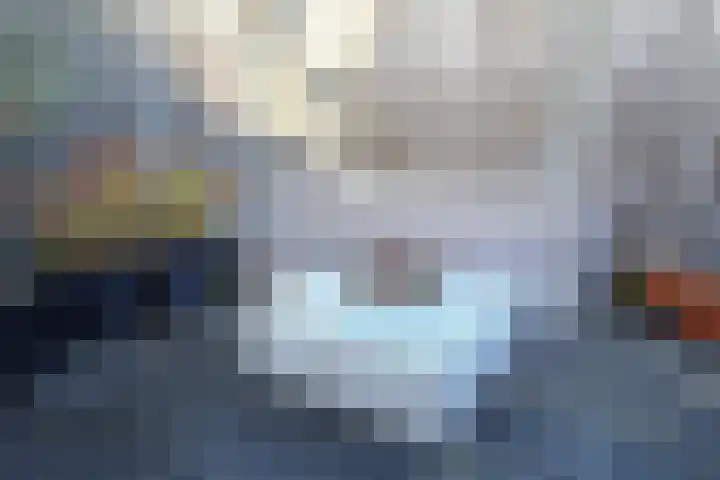 Vogelwikke 11 Sneek thumbnail 7