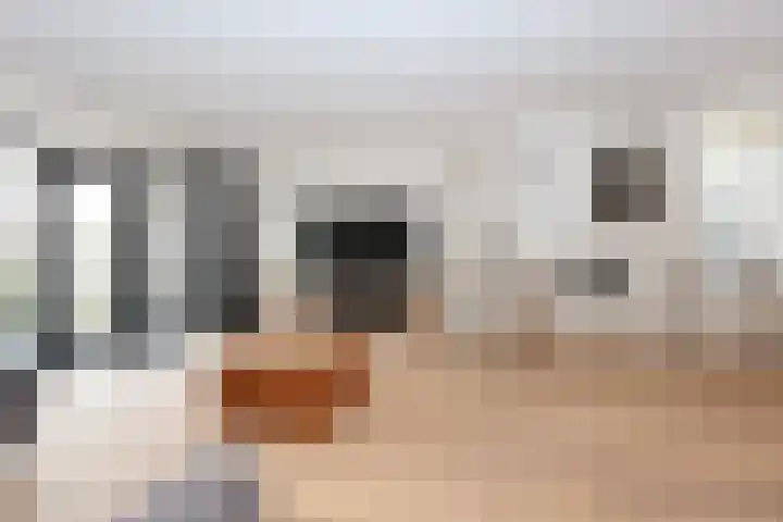 Vogelwikke 11 Sneek thumbnail 8