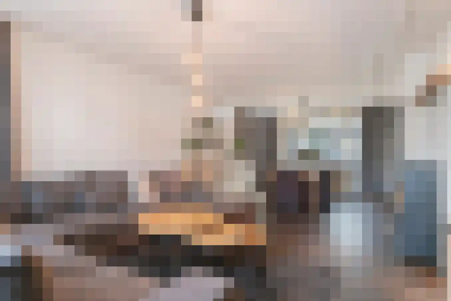 Vogelwikke 12 Bladel thumbnail 10
