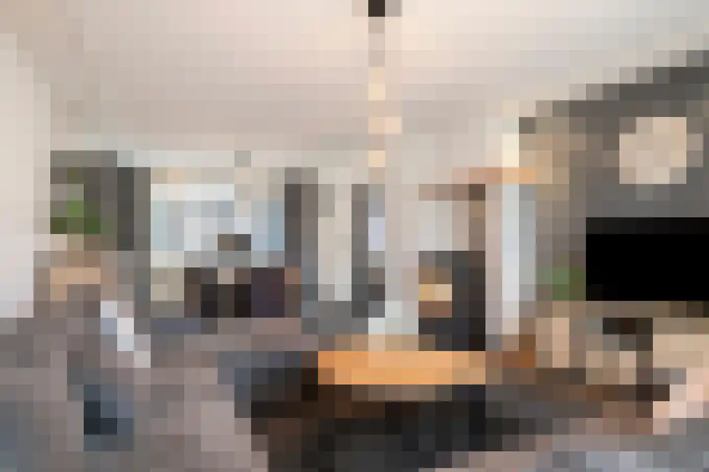Vogelwikke 12 Bladel thumbnail 11