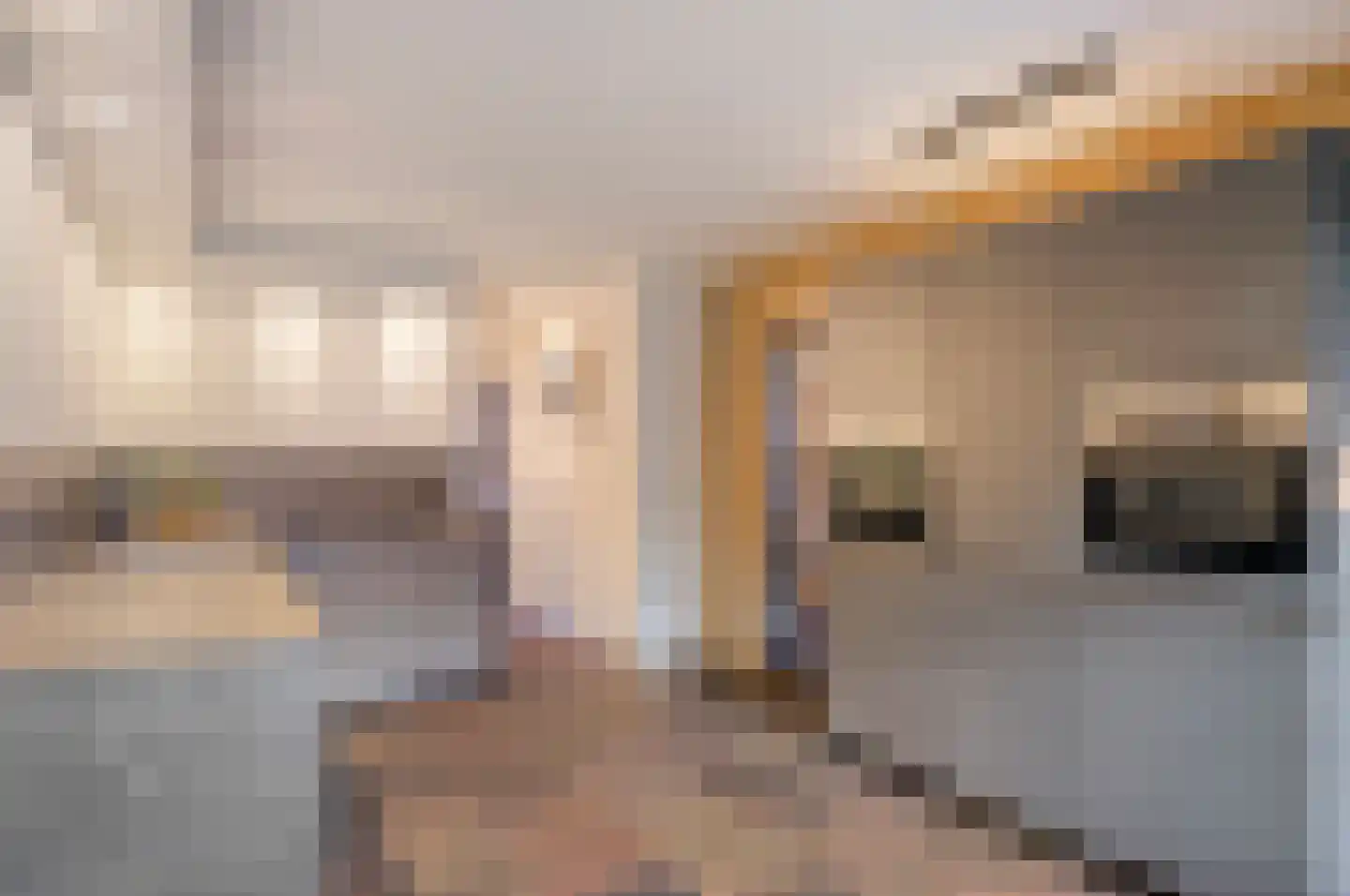 Vogelwikke 12 Bladel thumbnail 17