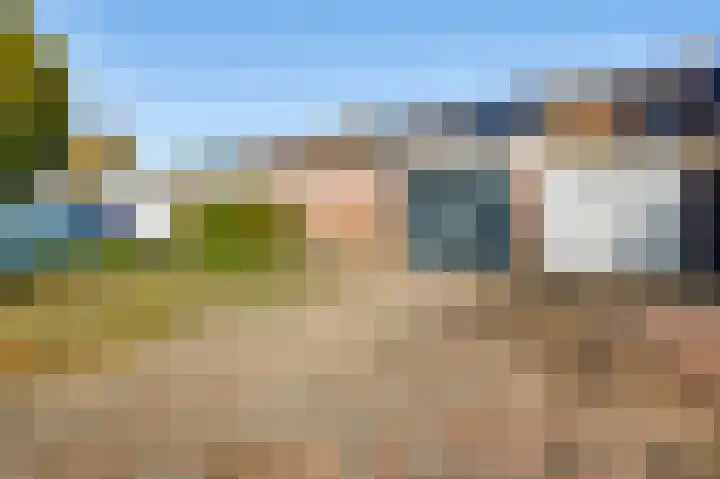 Vogelwikke 12 Bladel thumbnail 18