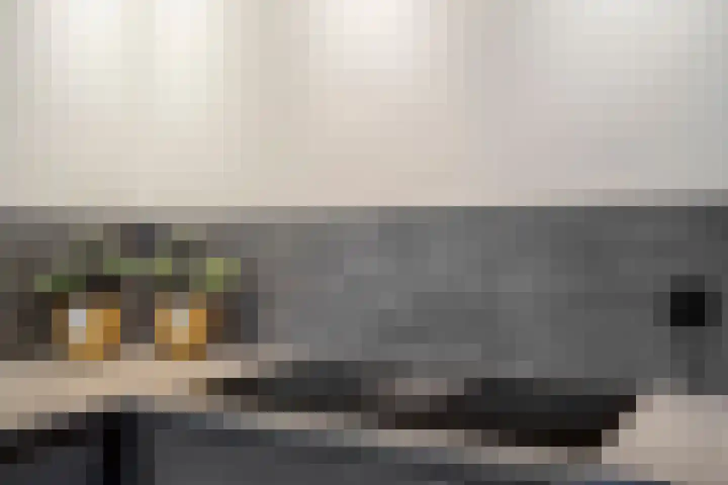 Vogelwikke 12 Bladel thumbnail 19