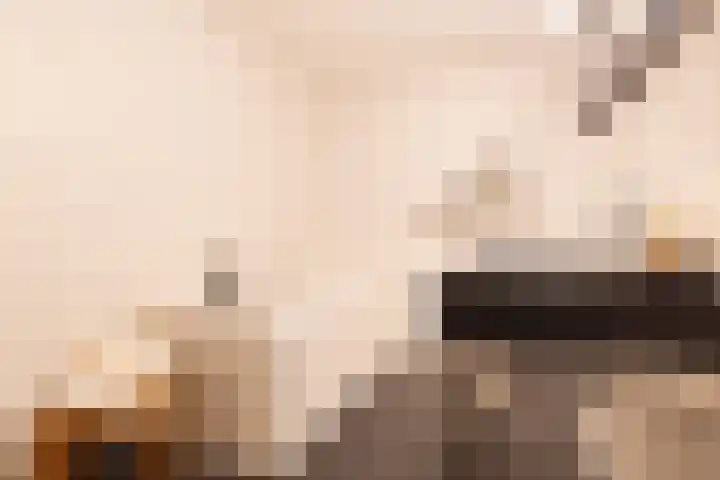 Vogelwikke 12 Bladel thumbnail 38