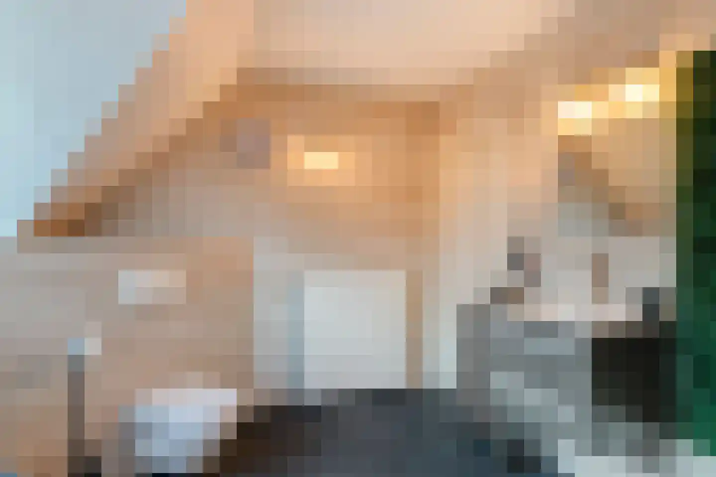 Vogelwikke 12 Bladel thumbnail 42