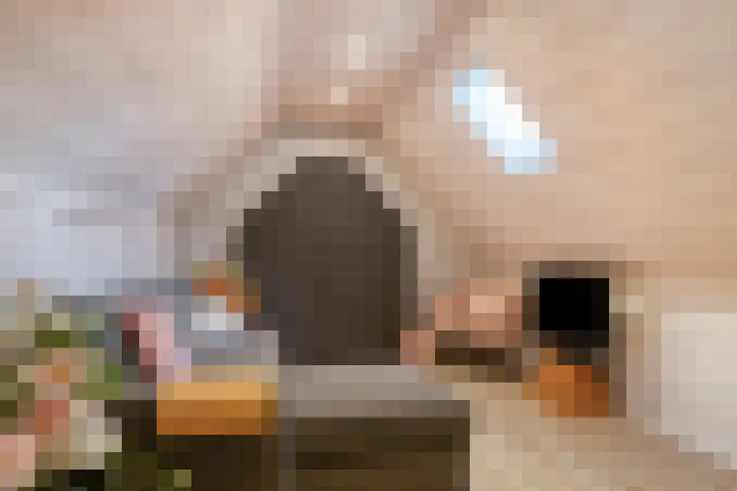 Vogelwikke 12 Bladel thumbnail 43