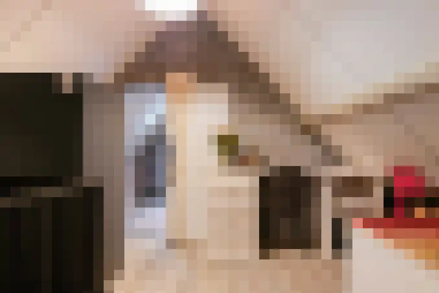Vogelwikke 12 Bladel thumbnail 43