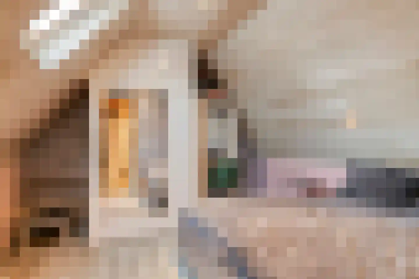 Vogelwikke 12 Bladel thumbnail 45