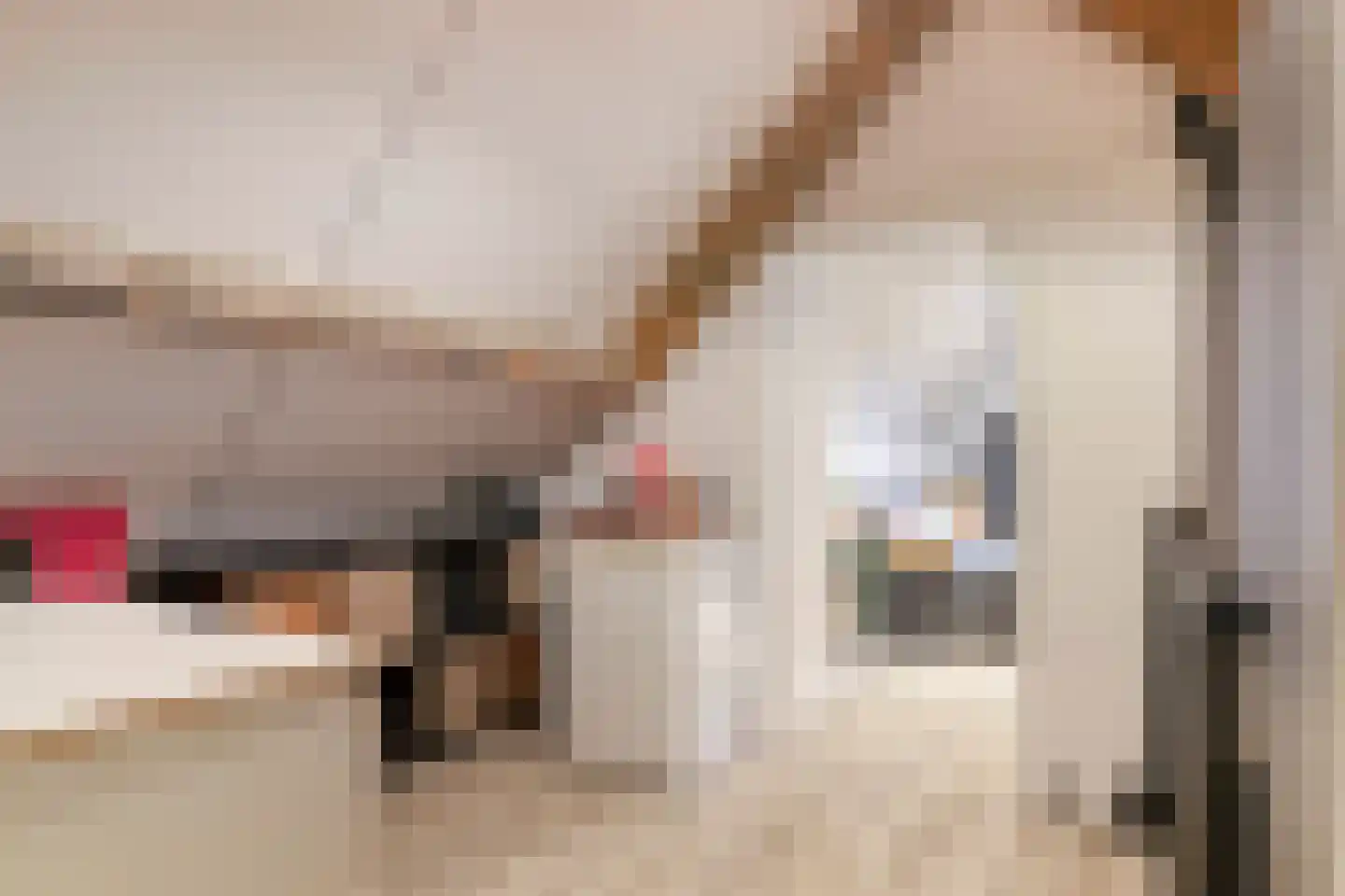 Vogelwikke 12 Bladel thumbnail 46